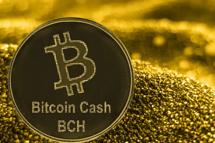 ベラジョンカジノ ビットコインキャッシュ(BCH)